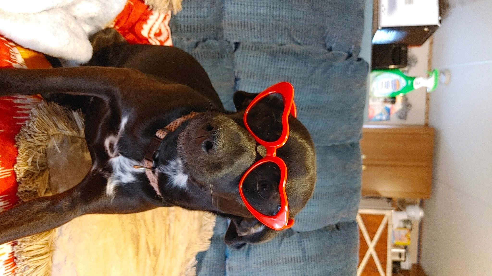 Suga Momma