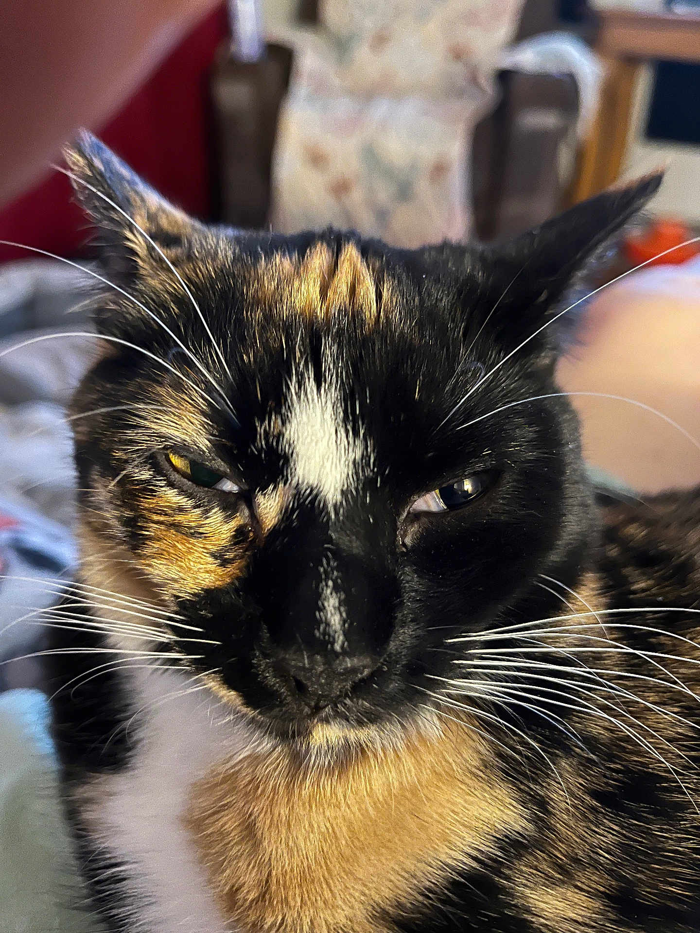 Freya