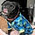 Bait Dog Marcus