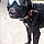 Bait Dog Marcus