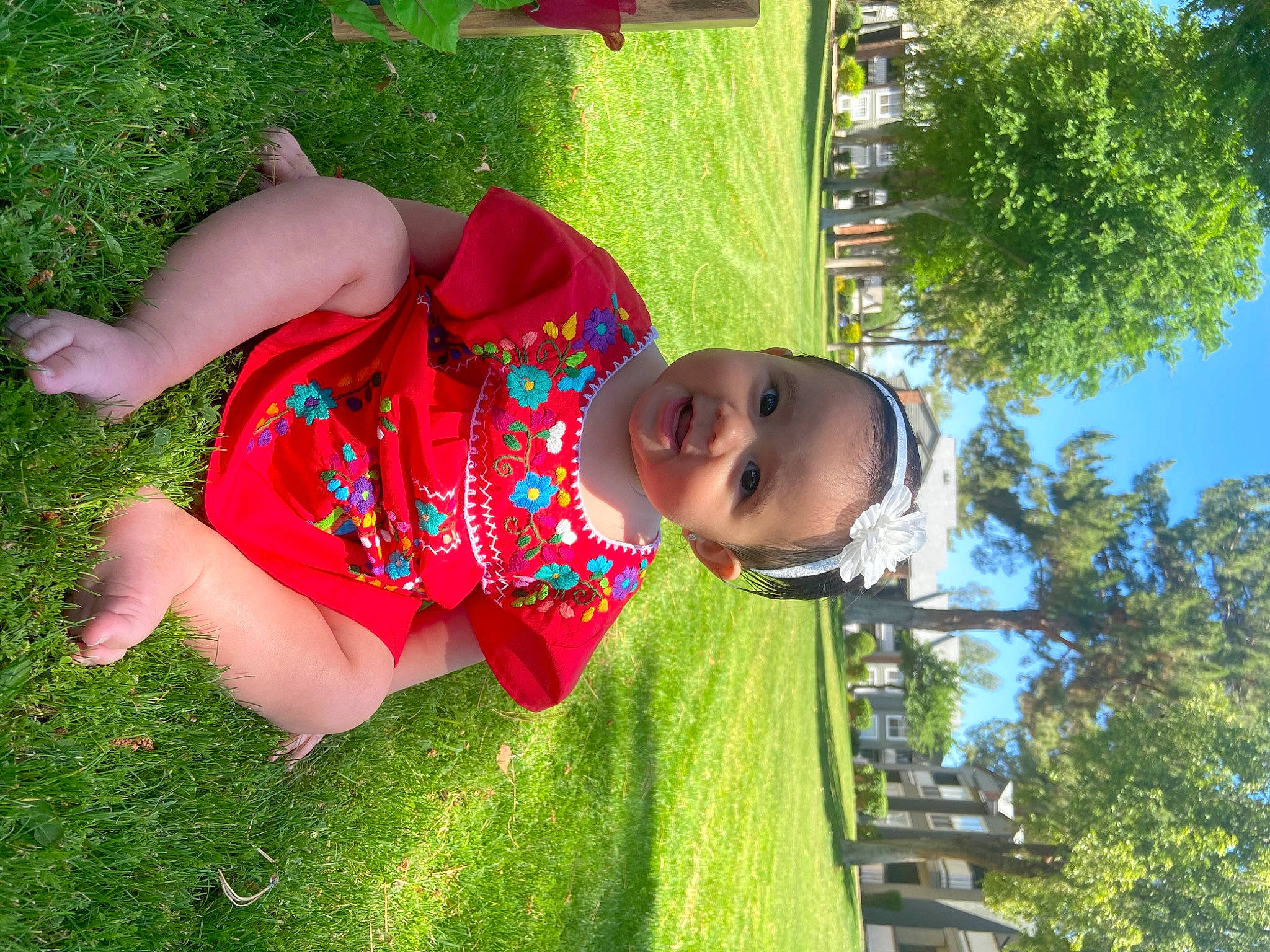 Quincy is registered to the contest to win money with this photo: baby, botany, child, dress, fun, garden, grass, green, happy, hat, house, leisure, people_in_nature, person, plant, recreation, sky, smile, t_shirt, toddler