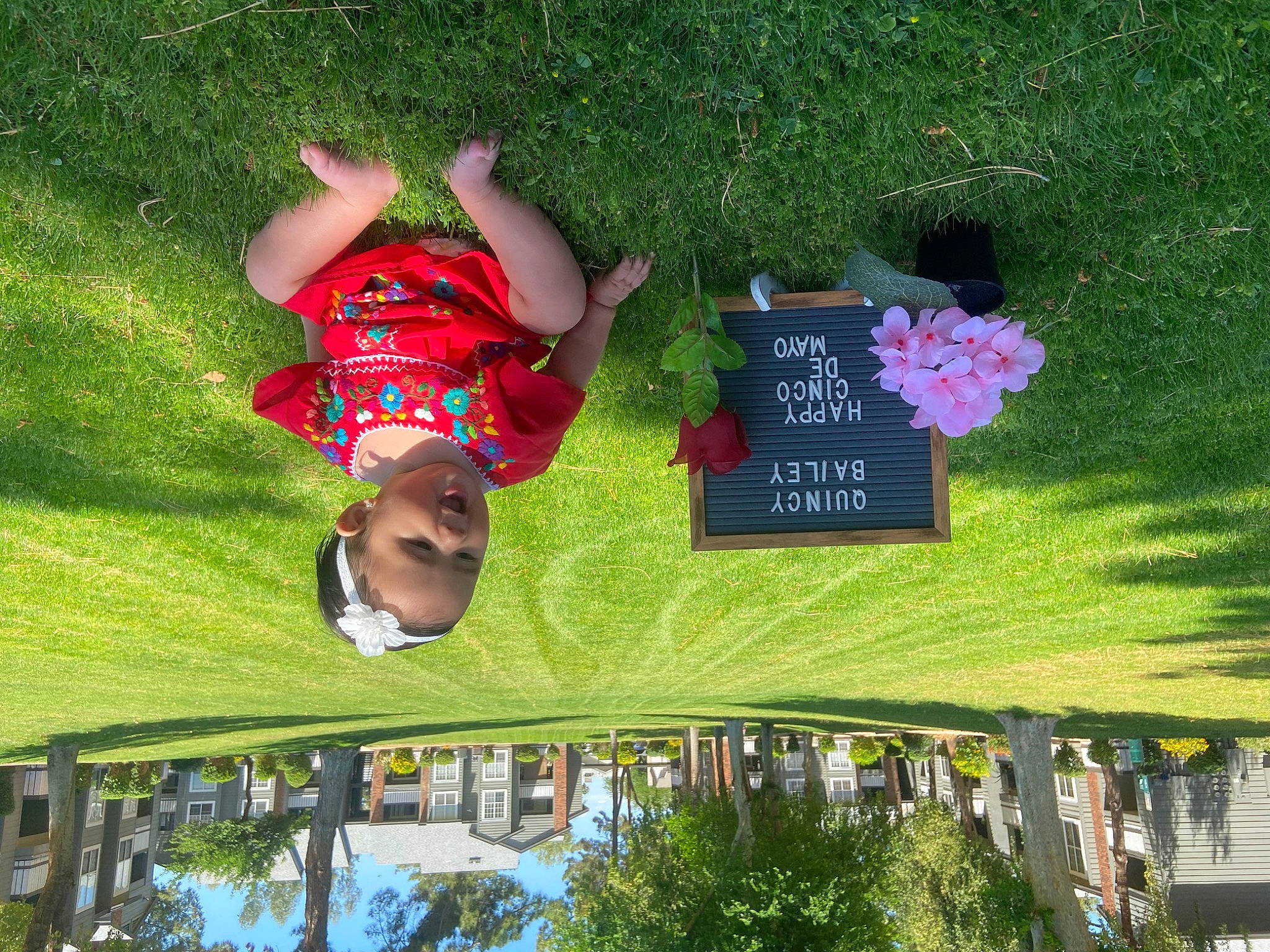 Quincy is registered to the contest to win money with this photo: botany, fun, garden, grass, grassland, grave, green, groundcover, happy, landscape, lawn, leaf, leisure, nature, people_in_nature, person, plant, recreation, shrub, spring