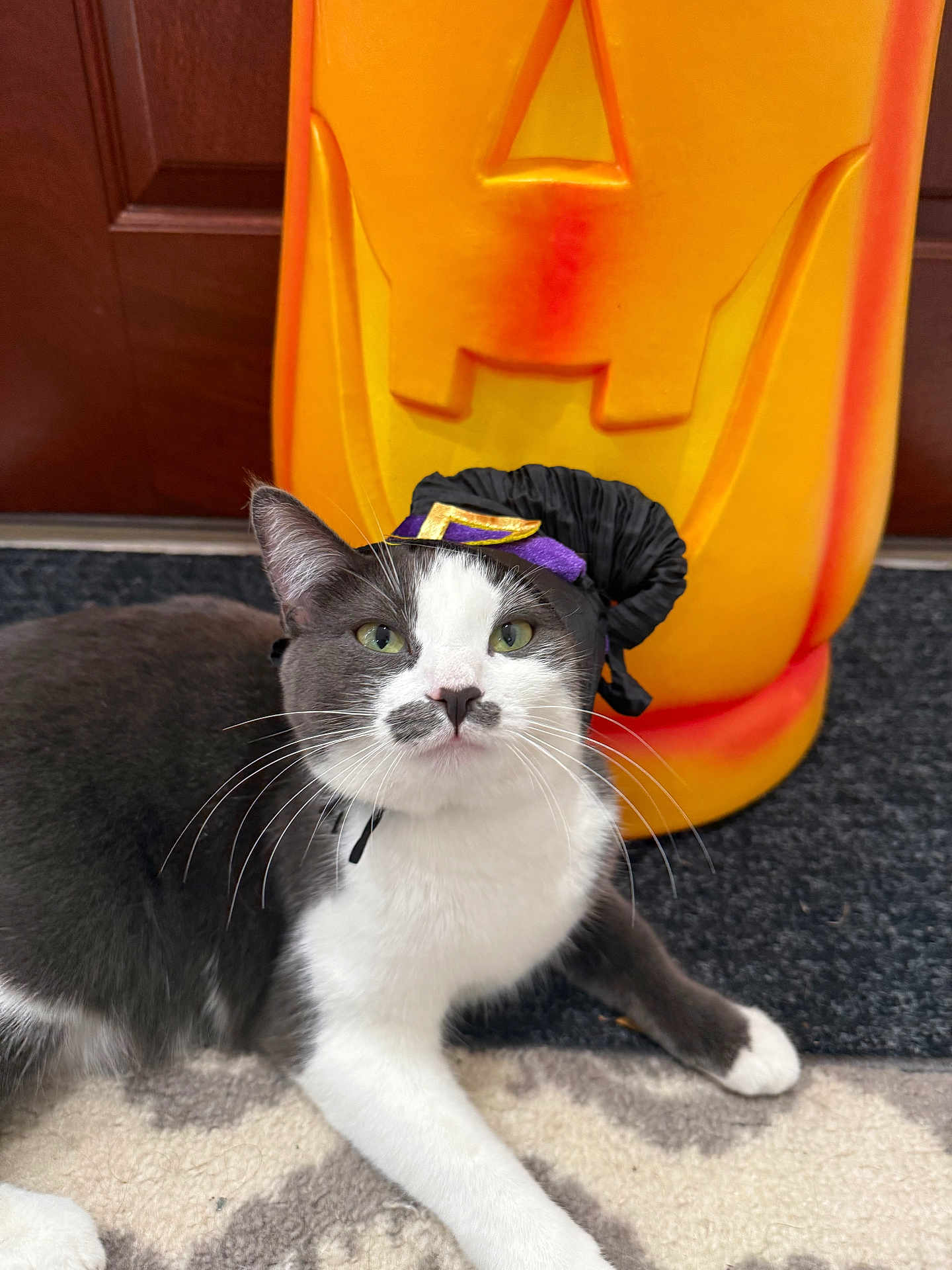 Kiki