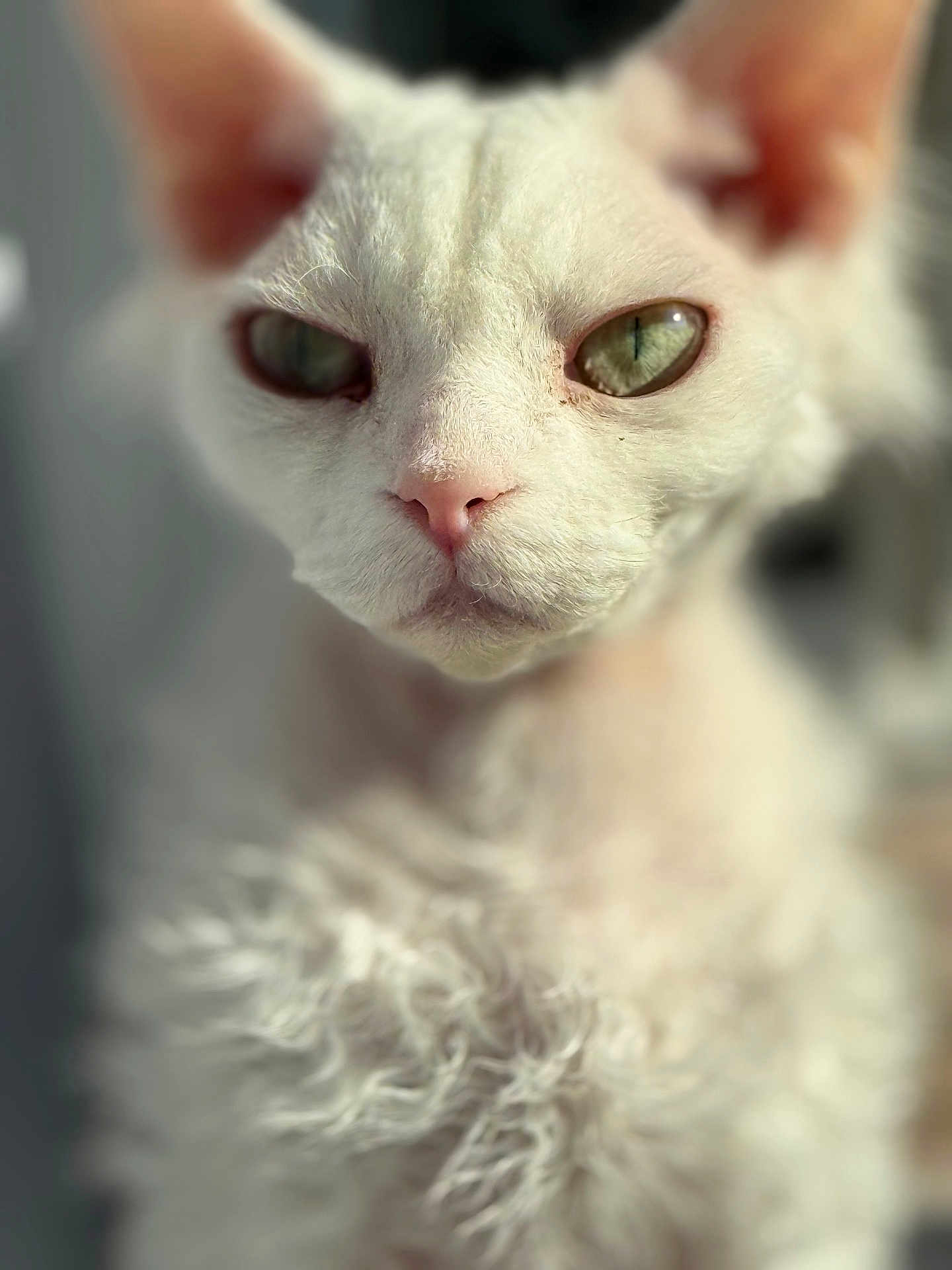 Diesel