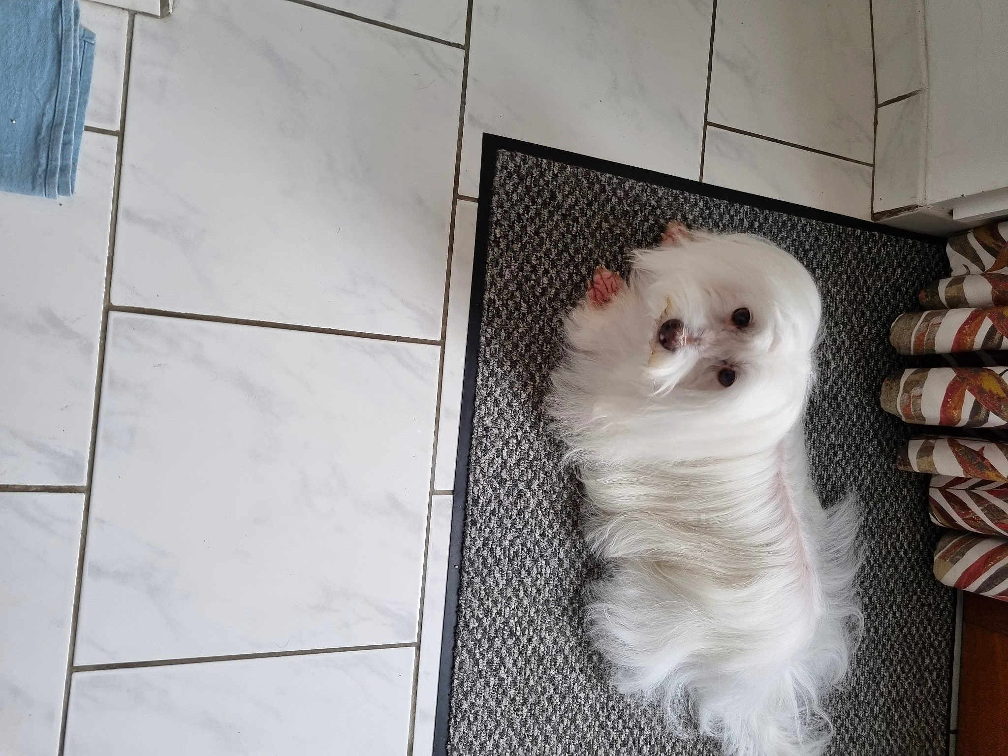 Elliot
