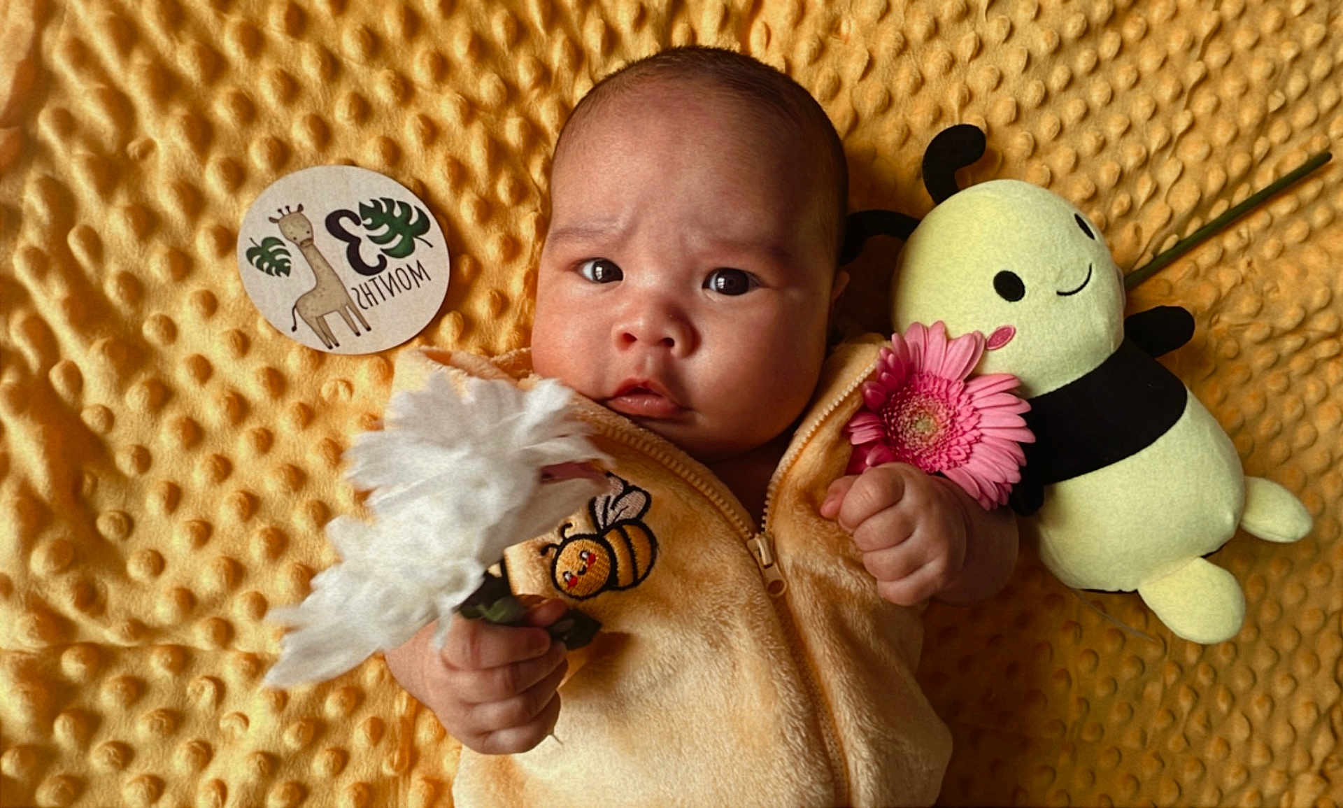 Kai is registered to the contest to win money with this photo: baby, infant, flower, plush_toy, bee, yellow_blanket, milestone_card, cute, holding, soft_texture, baby_clothes, portrait, child, indoors, expressive_face, newborn, hand, pink_flower, white_flower, lying_down