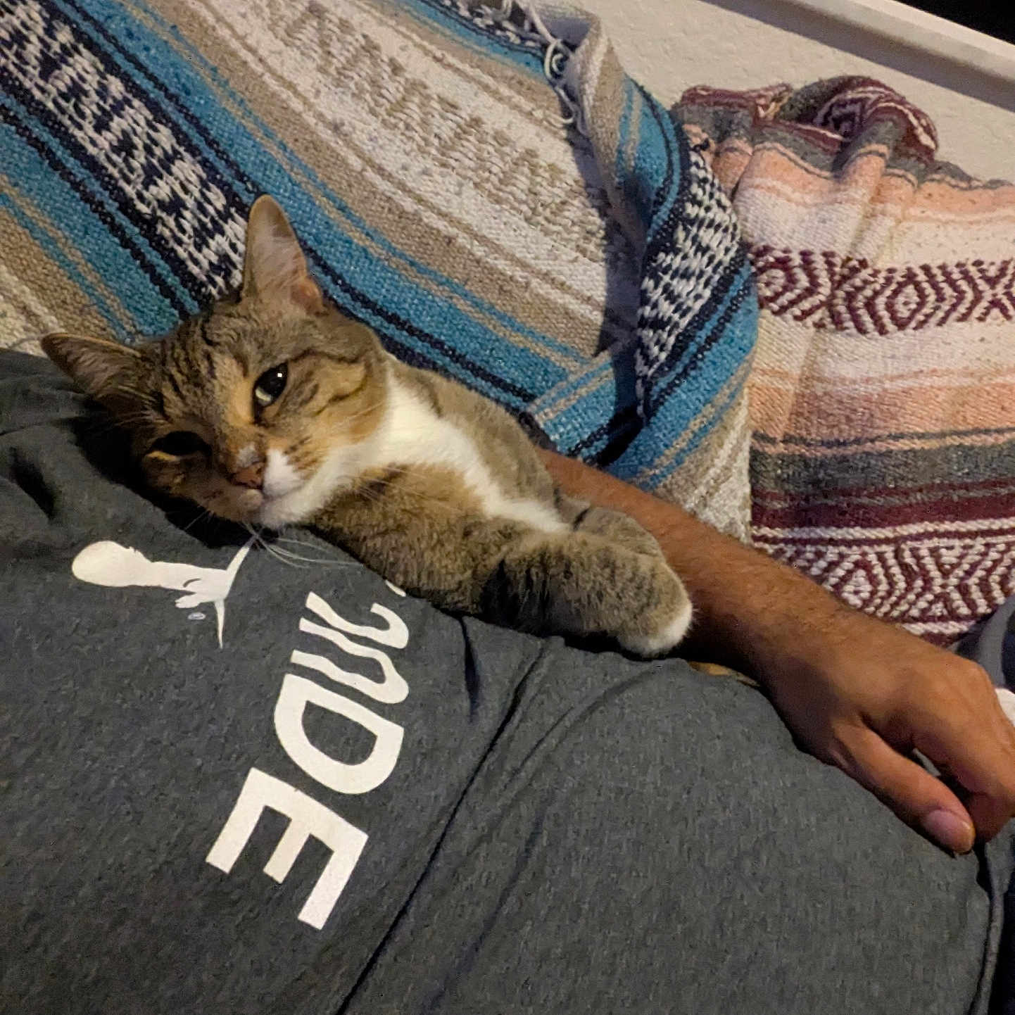 Nora