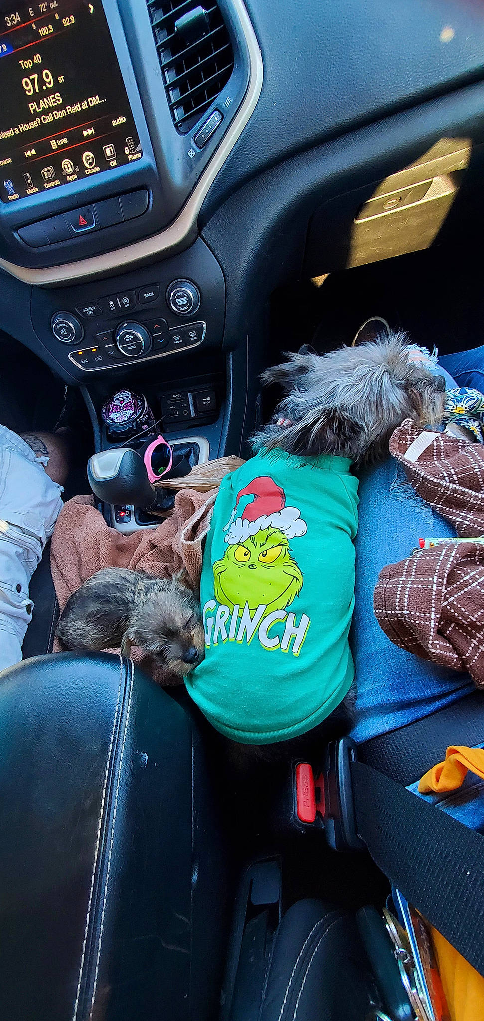 Luna is registered to the contest to win money with this photo: automotive_mirror, blue, car_seat, car_seat_cover, carnivore, center_console, electronics, gear_shift, luxury_vehicle, multimedia, product, radio, rear_view_mirror, satellite_radio, steering_part, steering_wheel, stuffed_toy, teal, trip_computer, vehicle_audio