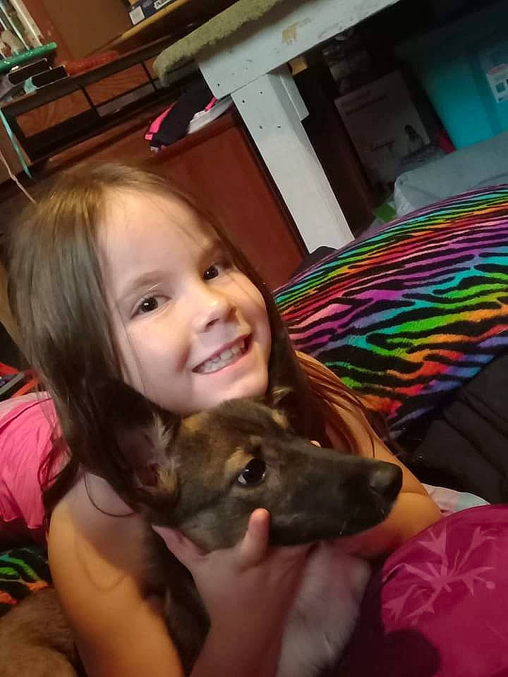 Annie joined the competition — help win amazing prizes! carnivore, chair, child, companion_dog, dog_breed, ear, fashion_accessory, felidae, flooring, fun, fur, happy, iris, joy, laugh, party, person, play, sitting, skin