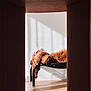 black_bed, brown, cozy, curled_up, curly_fur, daylight, dog, furniture, home, indoors, lazy, pet, quiet, relaxing, resting, shadow, sleepy, sunlight, warm_light, wooden_floor