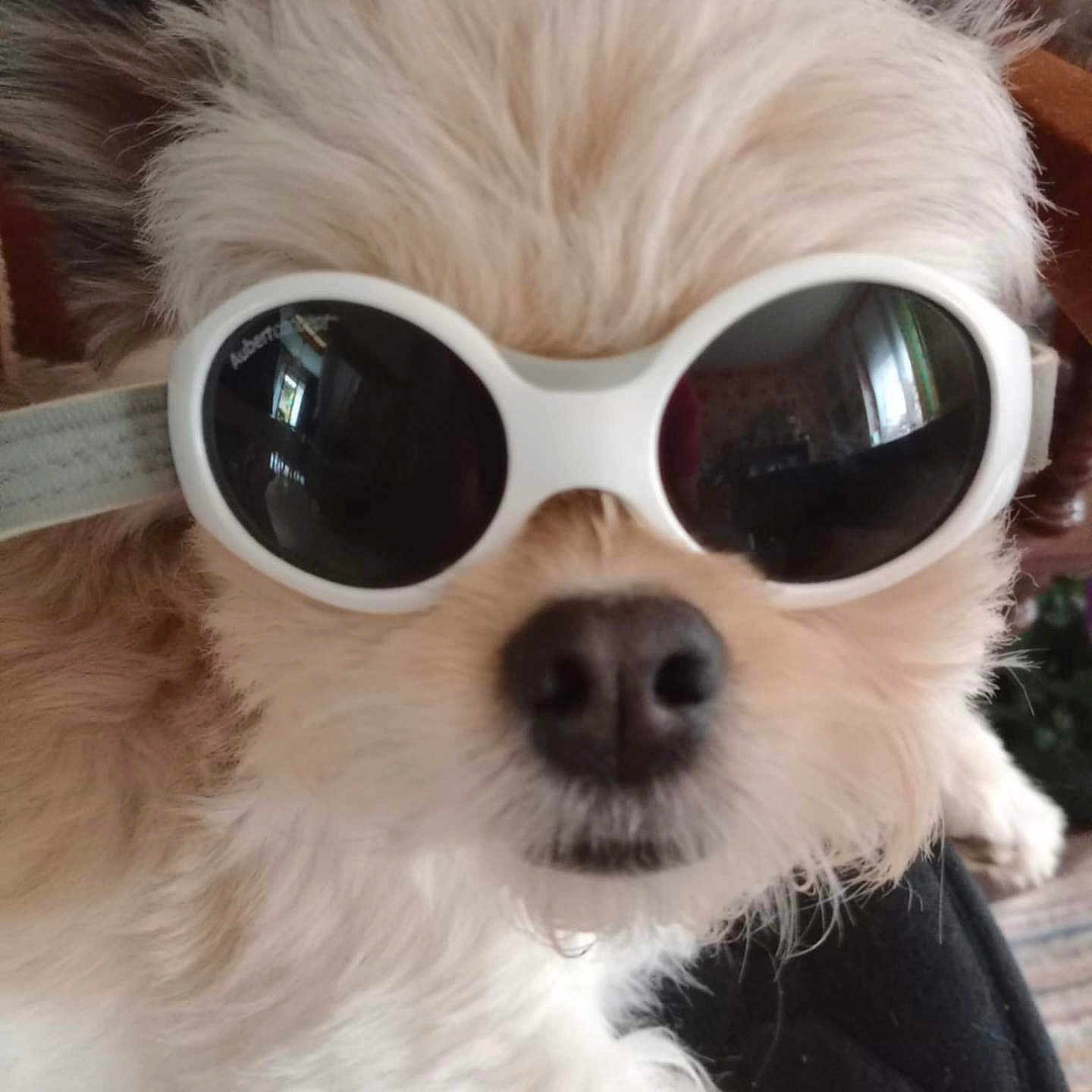 Suzie