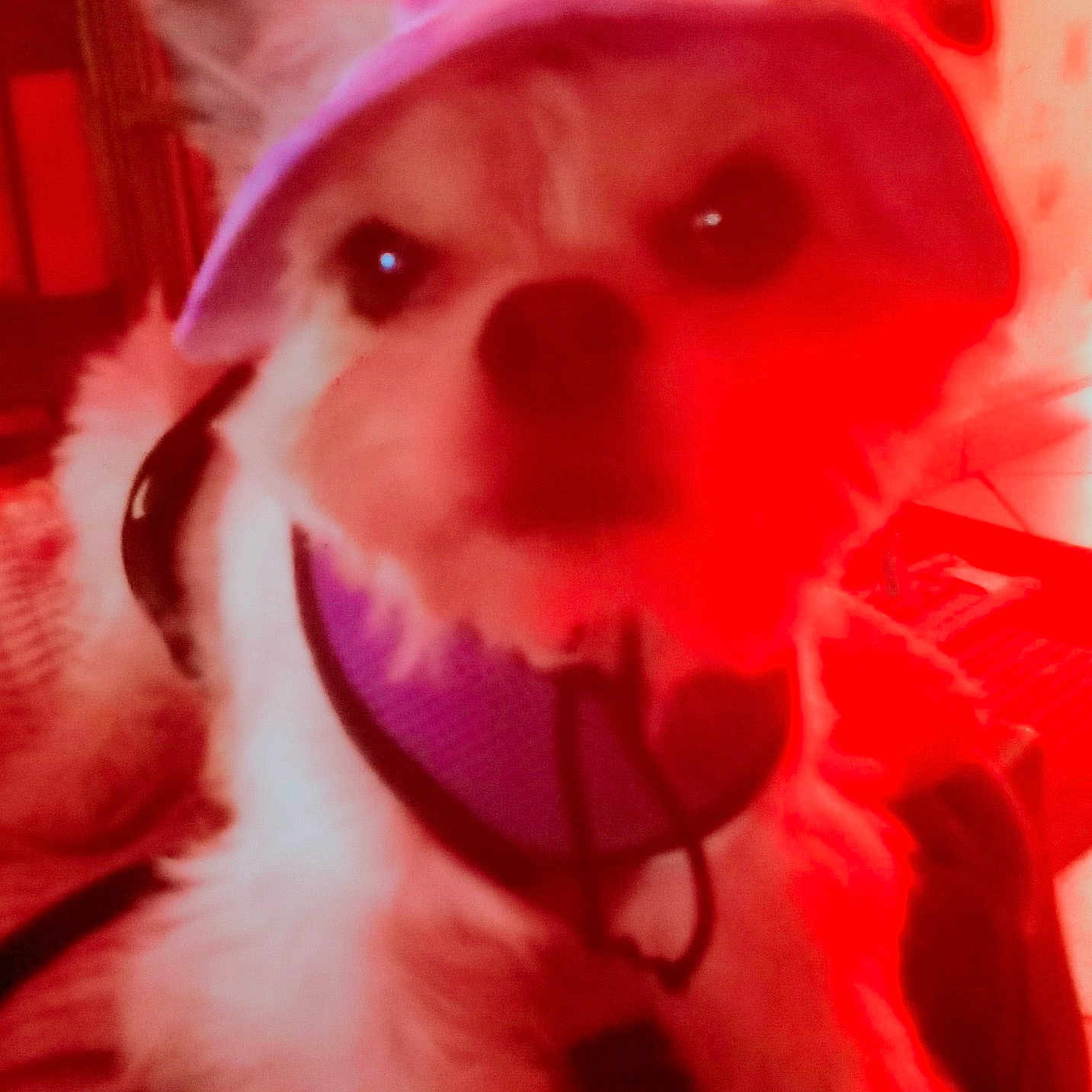 Suzie