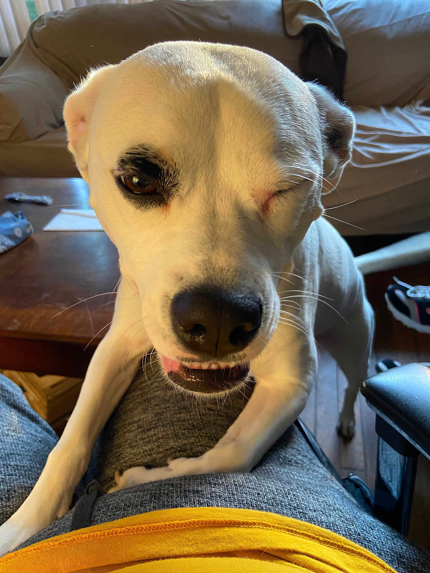 Ella