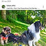 animal, canine, companion, daylight, dog, fur, grass, greenery, harness, leisure, nature, outdoor, panting, park, pet, relaxation, sitting, sunlight, tree, water_bottle
