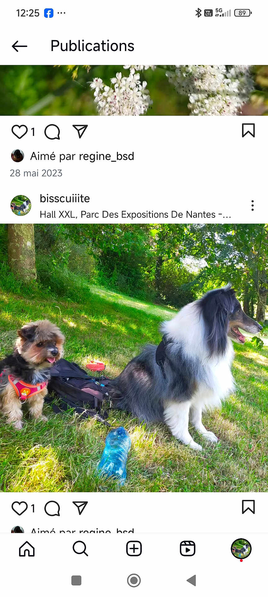 Koda Kracotte