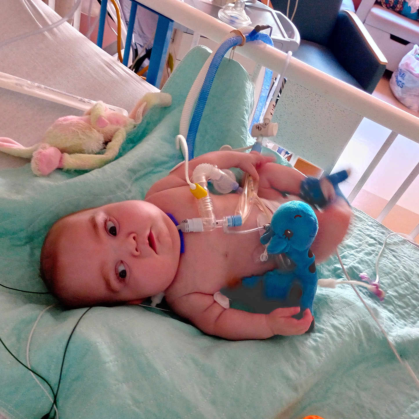 Kaydence joined the competition — help win amazing prizes! accessories, architecture, baby, bag, bed, building, clinic, crib, face, furniture, handbag, head, hospital, indoors, infantbed, newborn, person, photography, portrait, toy