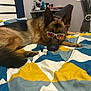 german_shepherd, dog, sunglasses, bed, bedspread, indoor, pet, resting, colorful, geometric_pattern, fur, animal, canine, cool, relaxed, household, comfort, domestic, laying_down, accessory