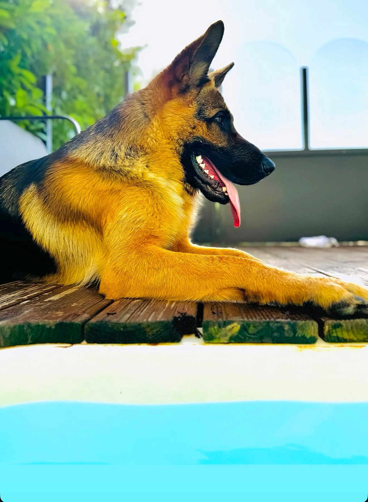 Usko