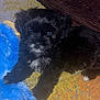 animal, black_fur, blue_toy, carpet, cute, dog, domestic_animal, floor, fluffy, fur, indoor, lying_down, pet, playful, puppy, resting, small_dog, stuffed_toy, toy, young_dog