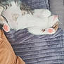 kitten, cat, sleeping, paw, pink_paw, blanket, soft, cozy, nap, fur, striped, pet, animal, relaxed, indoor, cushion, fabric, closeup, cute, resting