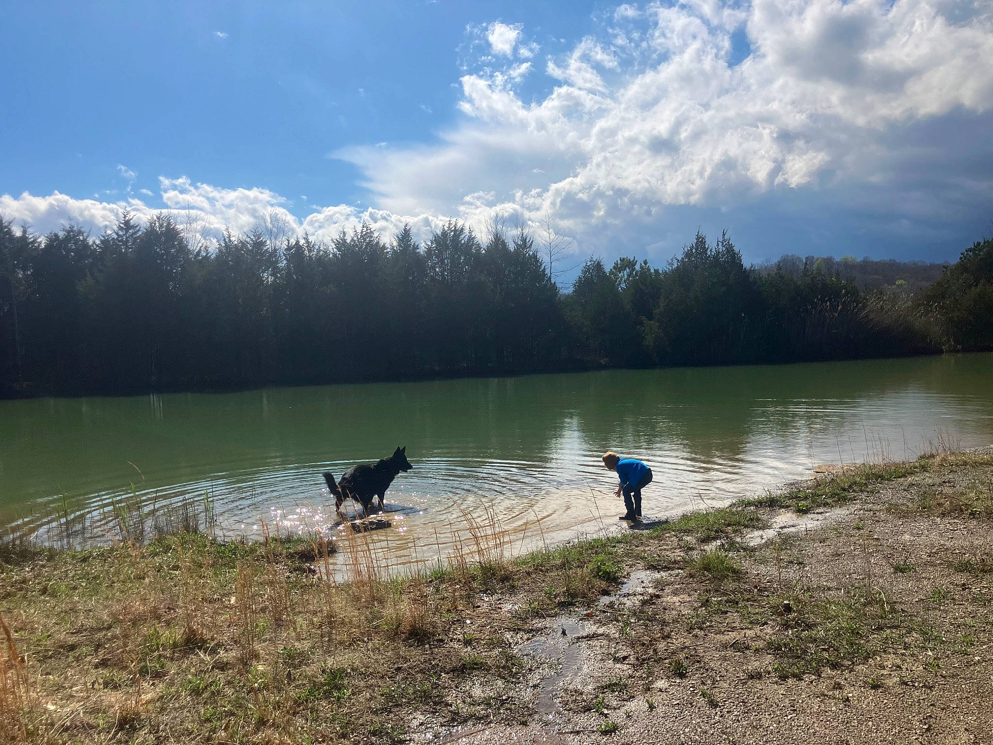 Cash is registered to the contest to win money with this photo: bank, carnivore, cloud, dog, grass, grassland, hill, lacustrine_plain, lake, landscape, mountain, mountainous_landforms, natural_landscape, person, plant, recreation, shore, sky, tree, water