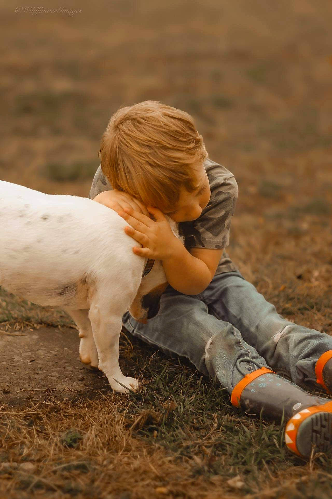 Cash joined the competition — help win amazing prizes! boot, child, companion_dog, dog_breed, fawn, fun, fur, grass, grassland, happy, landscape, livestock, mammal, people_in_nature, person, play, sitting, soil, sporting_group, tail