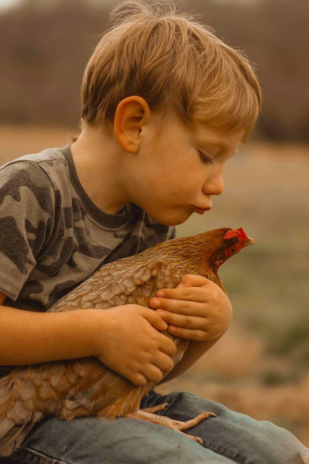 Cash is registered to the contest to win money with this photo: beak, bird, child, fawn, galliformes, grass, hand, happy, mammal, people_in_nature, person, phasianidae, reptile, rock, soil, terrestrial_animal, thumb, toddler, vertebrate, wildlife