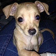 Luna participe au concours pour gagner de l'argent avec cette photo :