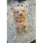 Teddy participe au concours pour gagner de l'argent avec cette photo :