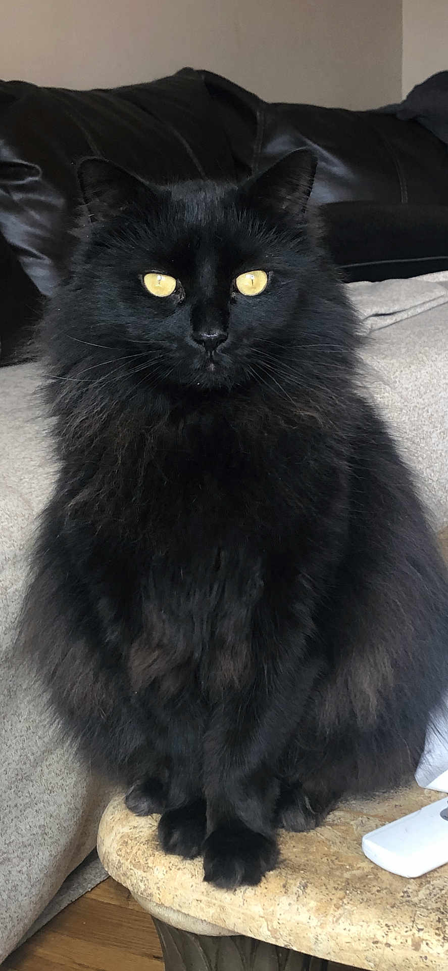 Onyx