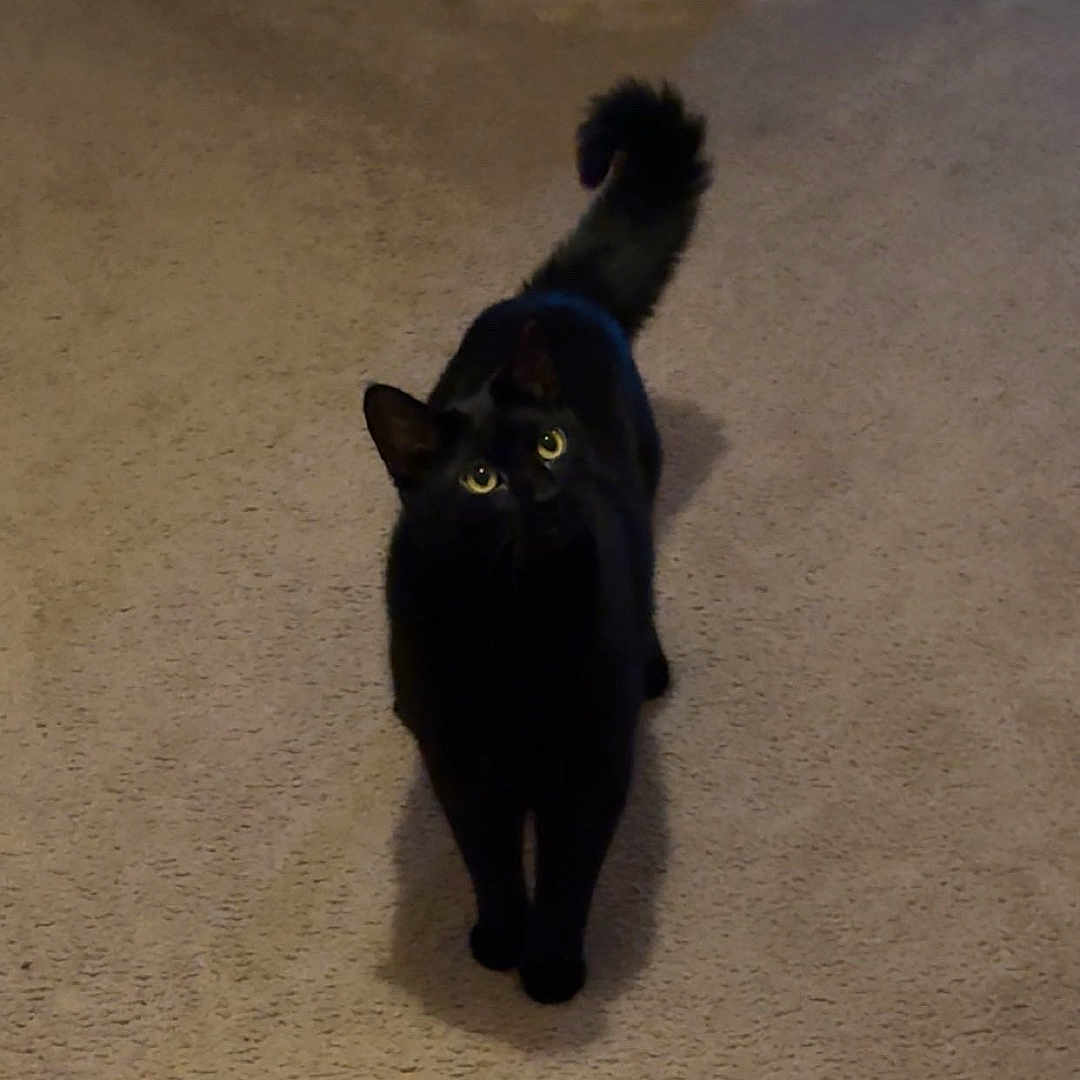 Oliver