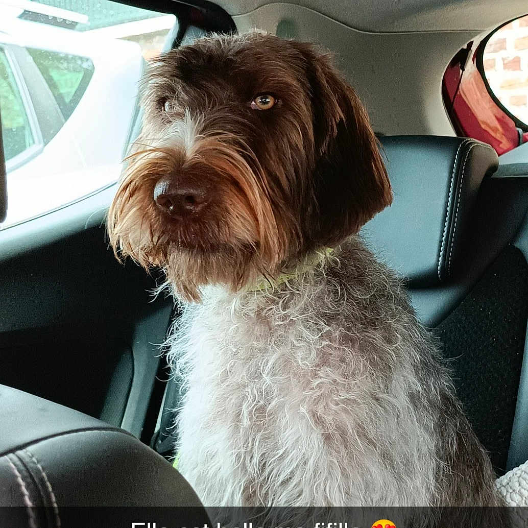 Sia