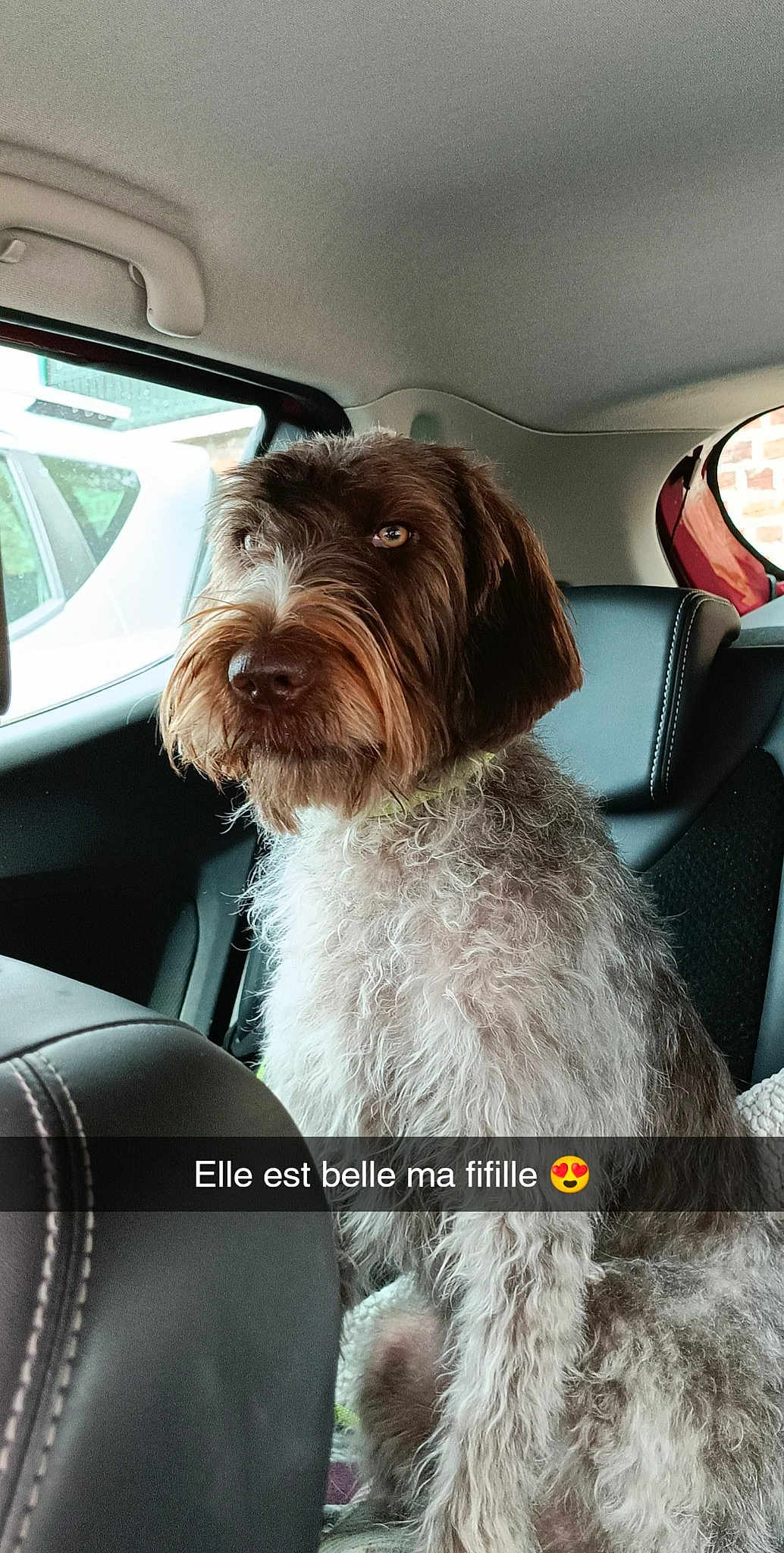 Sia