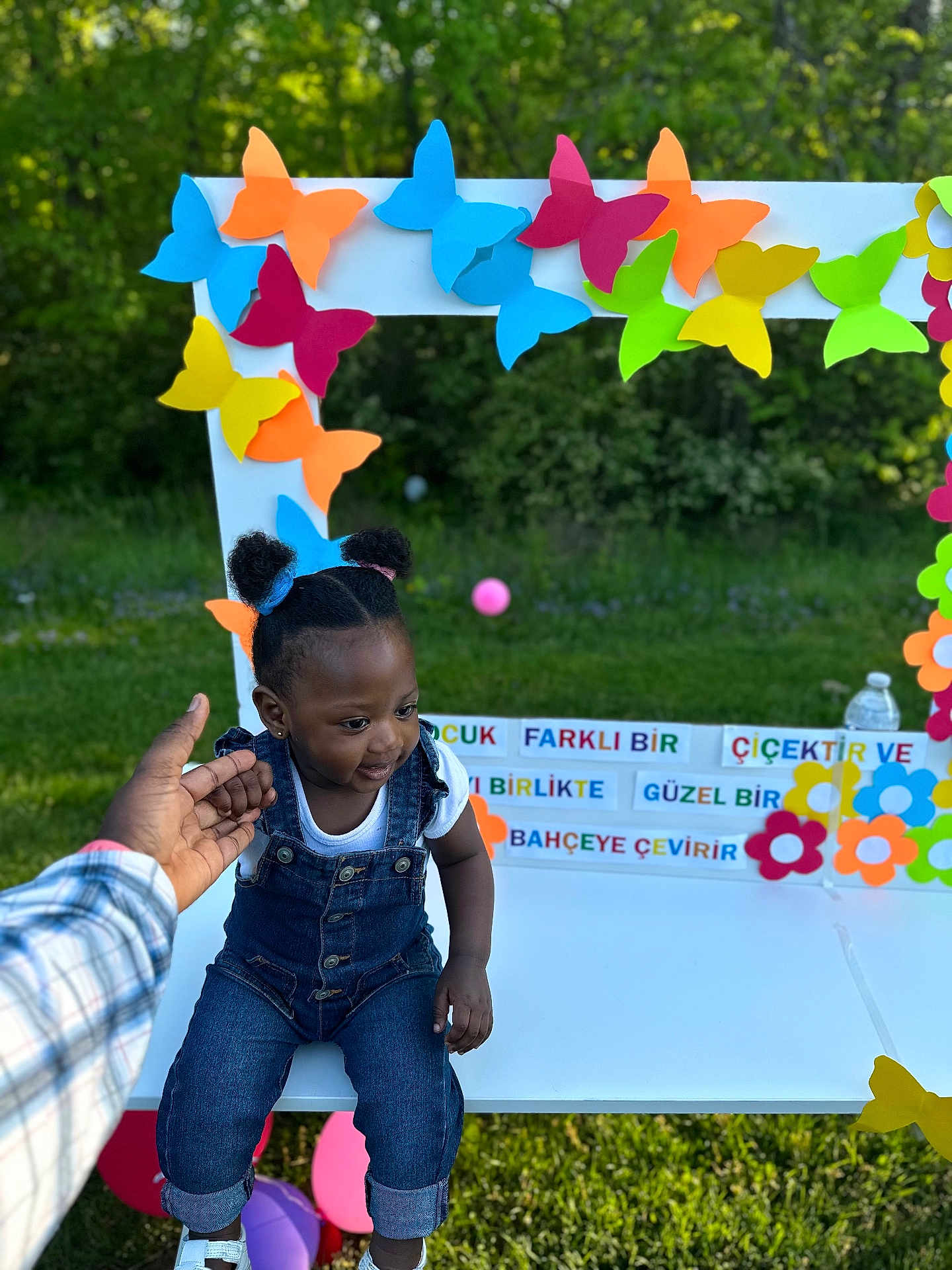 Halimat is registered to the contest to win money with this photo: child, toddler, outdoor, bench, grass, greenery, butterflies, colorful, hand, denim, overalls, white_shirt, smile, hair_ties, cute, playful, daylight, nature, decoration, park