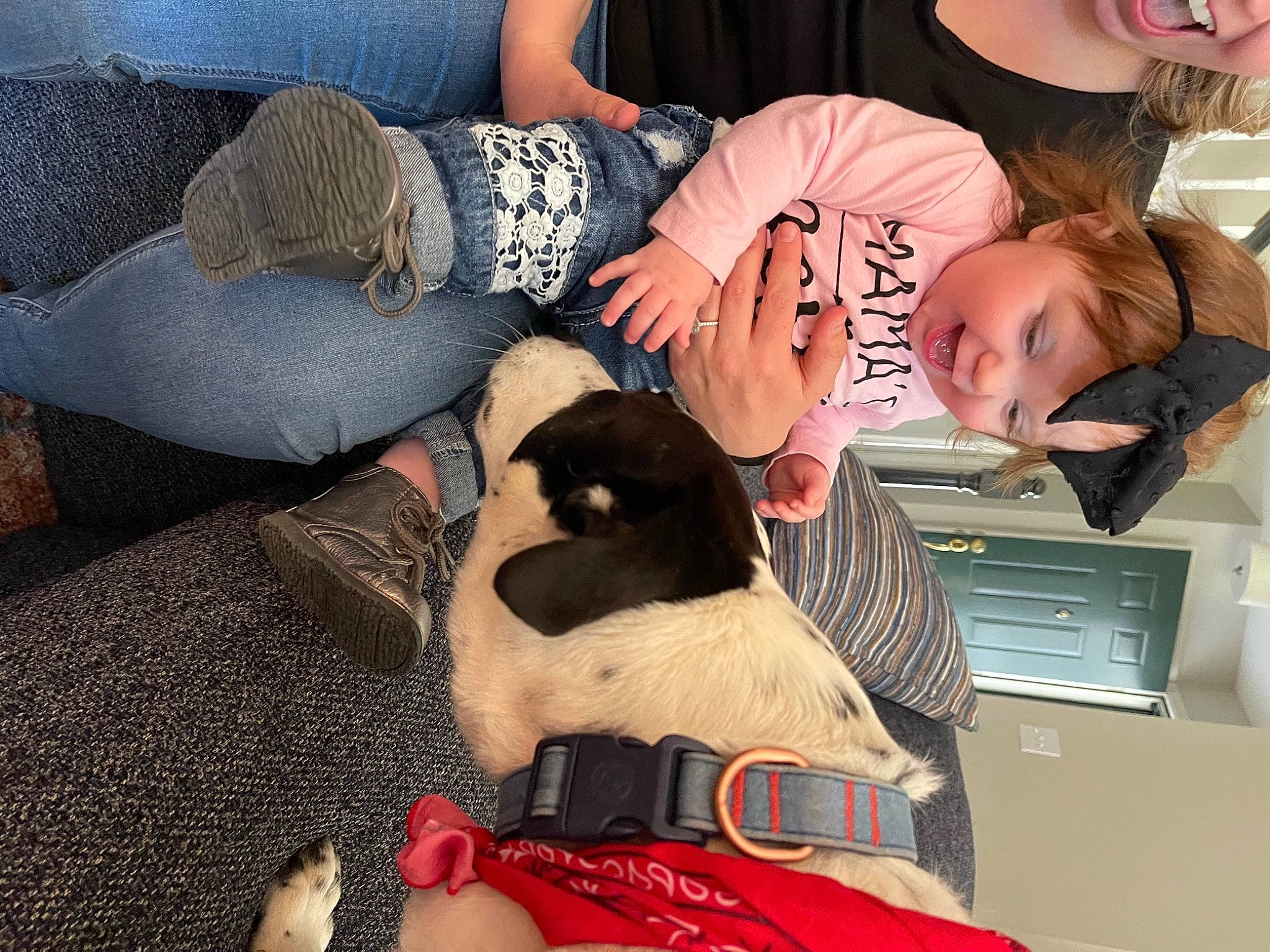 Georgia joined the competition — help win amazing prizes! black_hair, carnivore, child, comfort, companion_dog, couch, dog_breed, eyewear, fun, fur, happy, human_leg, knee, lap, person, room, sitting, t_shirt, thigh, toddler