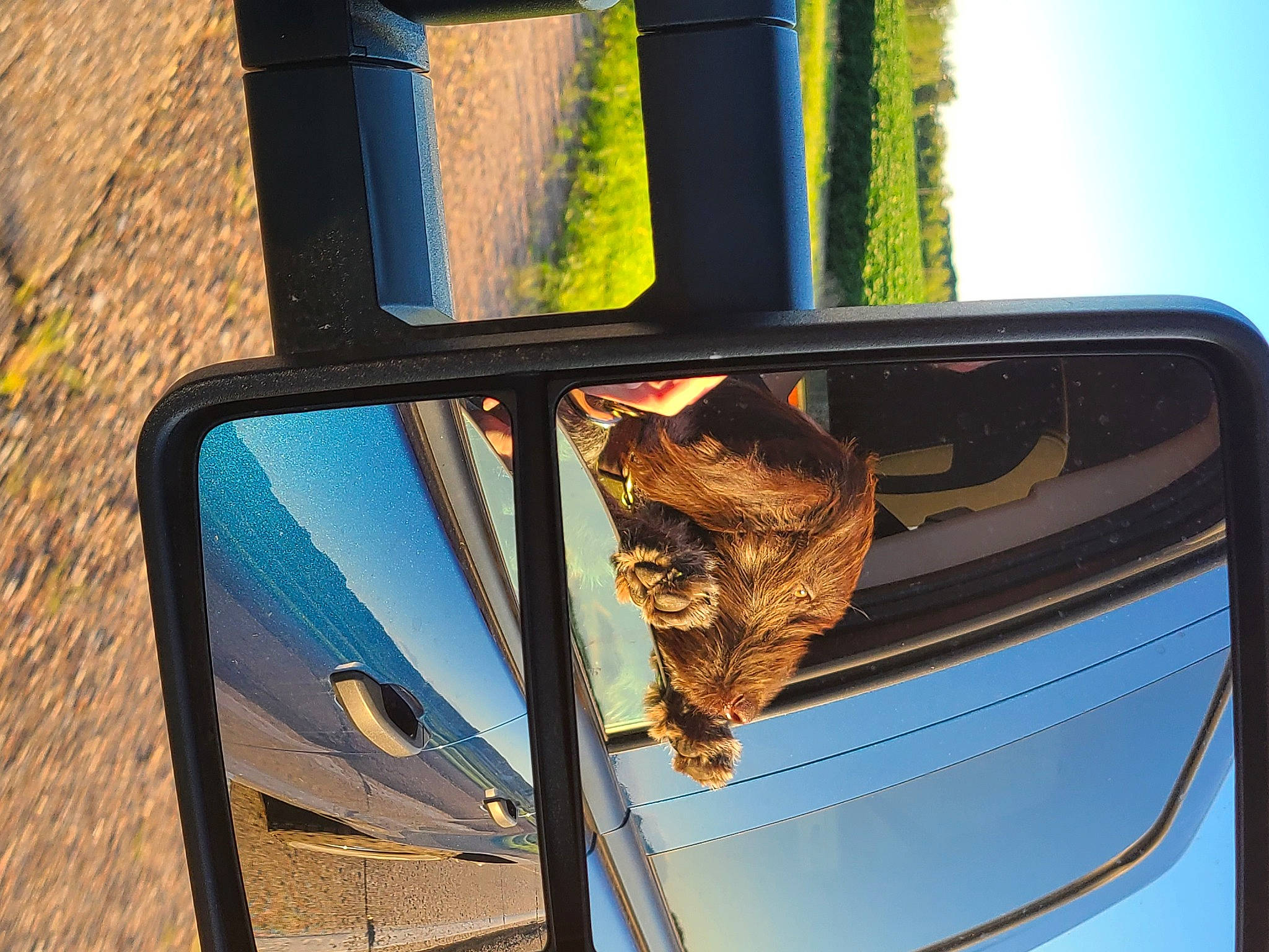 Odin is registered to the contest to win money with this photo: auto_part, automotive_exterior, automotive_lighting, automotive_mirror, automotive_side_view_mirror, blue, eyewear, glass, hood, mirror, motor_vehicle, rear_view_mirror, rectangle, sky, street_light, tints_and_shades, vehicle, vehicle_door, window, wood
