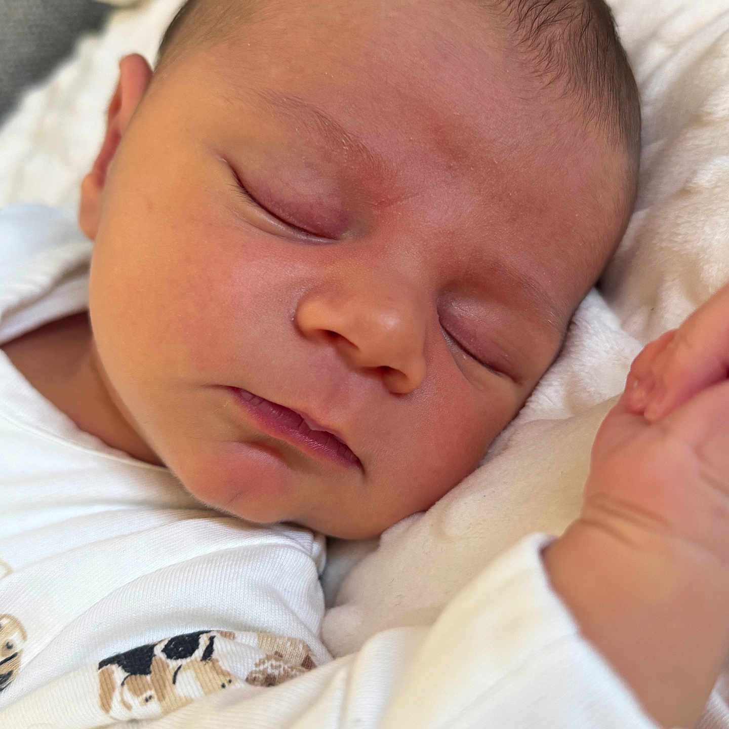 Léandre participe au concours pour gagner de l'argent avec cette photo : newborn, baby, sleeping, infant, face, hand, white_clothing, blanket, soft_texture, closeup, peaceful, cute, resting, portrait, skin, head, child, cozy, indoors, young