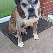 Prince participe au concours pour gagner de l'argent avec cette photo :