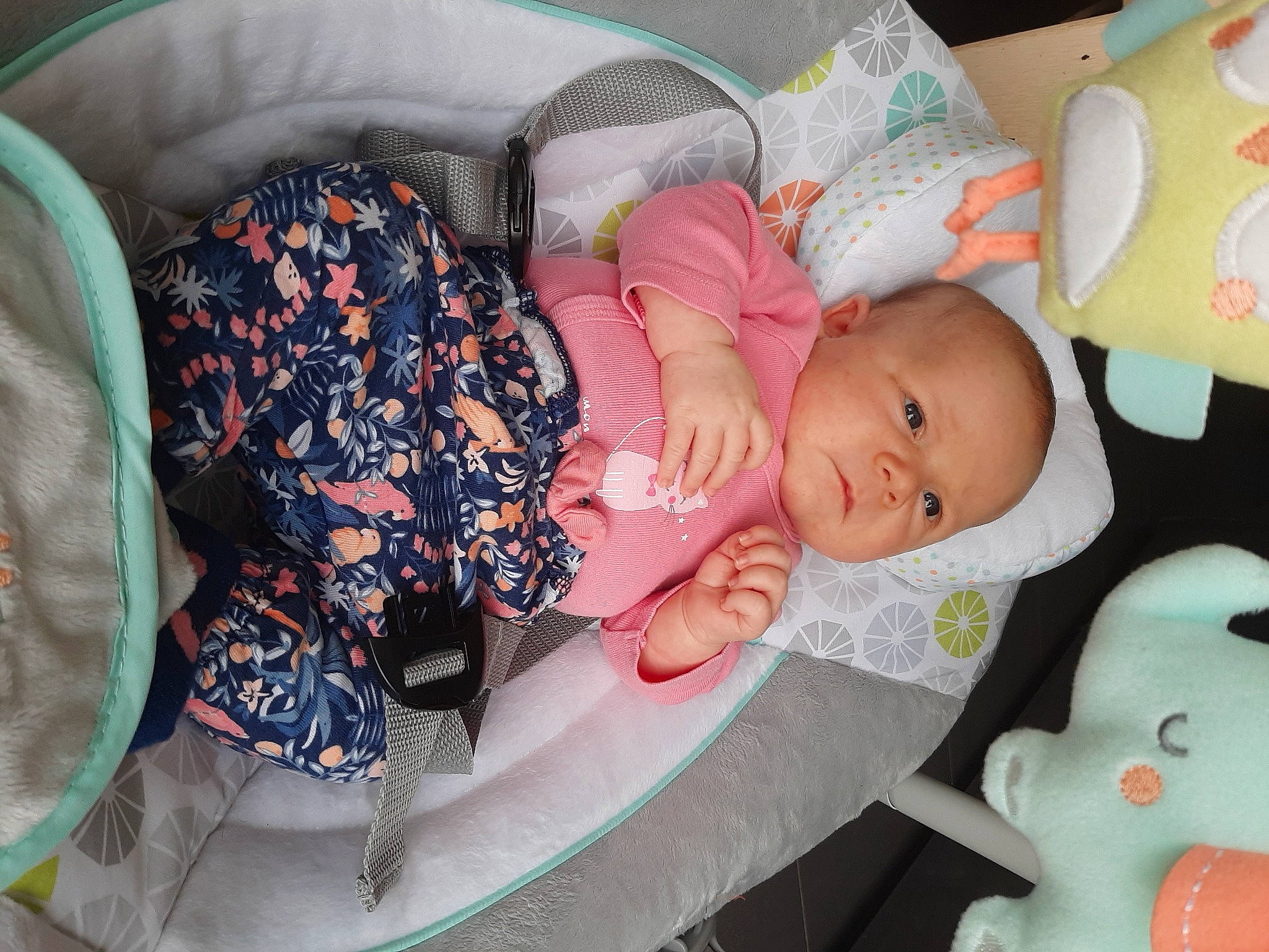 Romane participe au concours pour gagner de l'argent avec cette photo : baby, baby_products, baby_toddler_clothing, cheek, child, comfort, facial_expression, linens, mammal, nap, person, pink, product, room, sitting, skin, sock, textile, toddler, tree