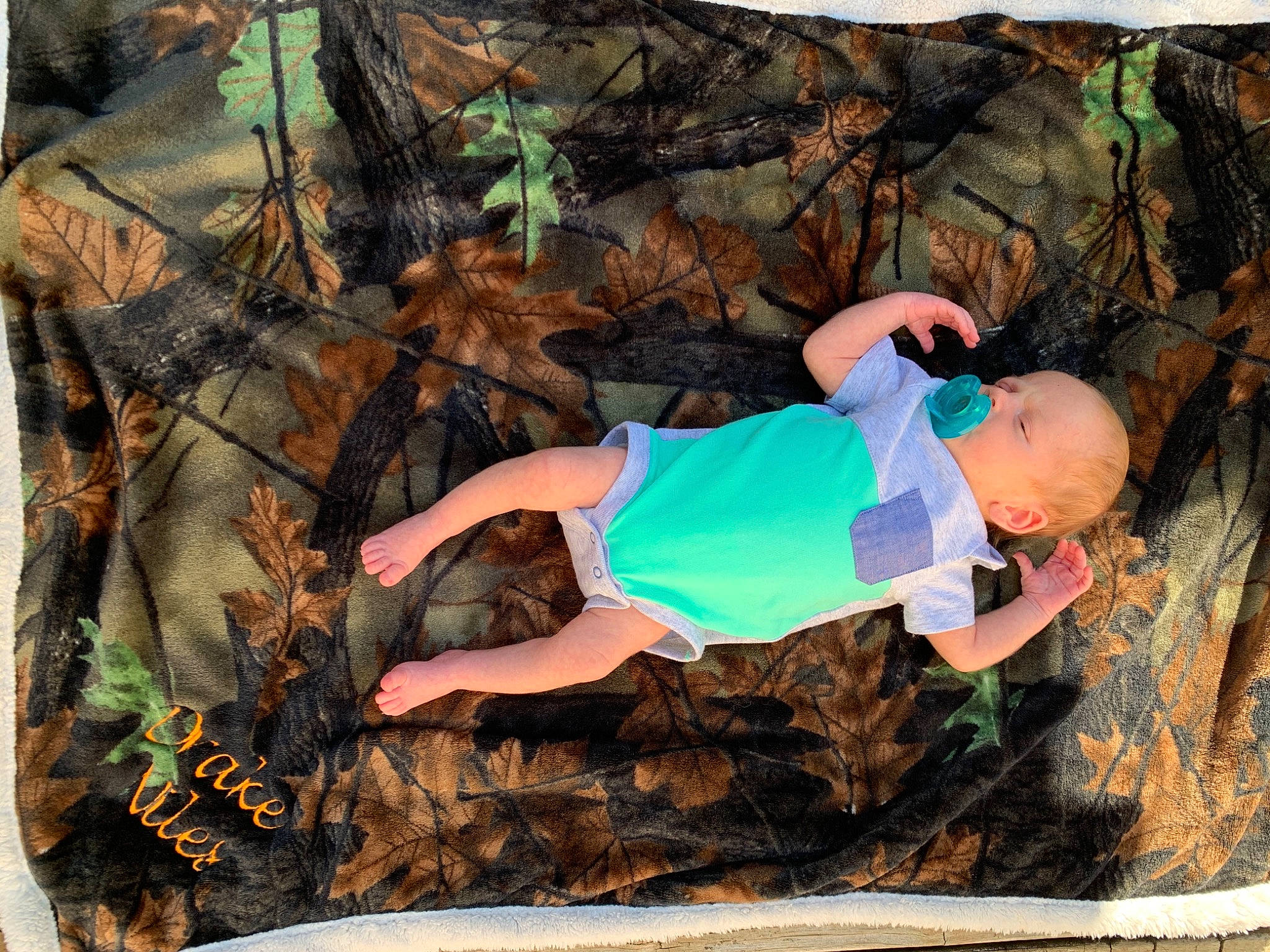 Drake is registered to the contest to win money with this photo: forest, person, plant, rock, tree, trunk, vacation, woody_plant