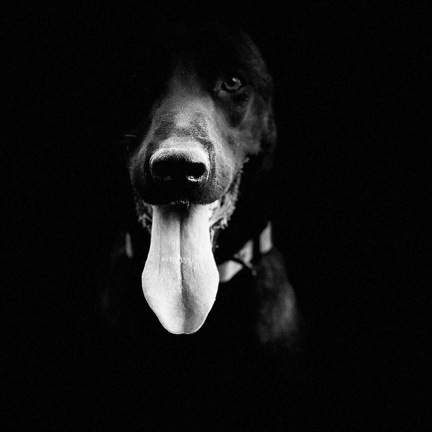 Cheyenne