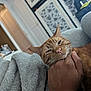 cat, ginger_cat, pet, hand, blanket, couch, indoor, cozy, sleepy, close_up, whiskers, fur, living_room, human_hand, relaxing, blanket_texture, portrait, domestic_animal, home, furniture