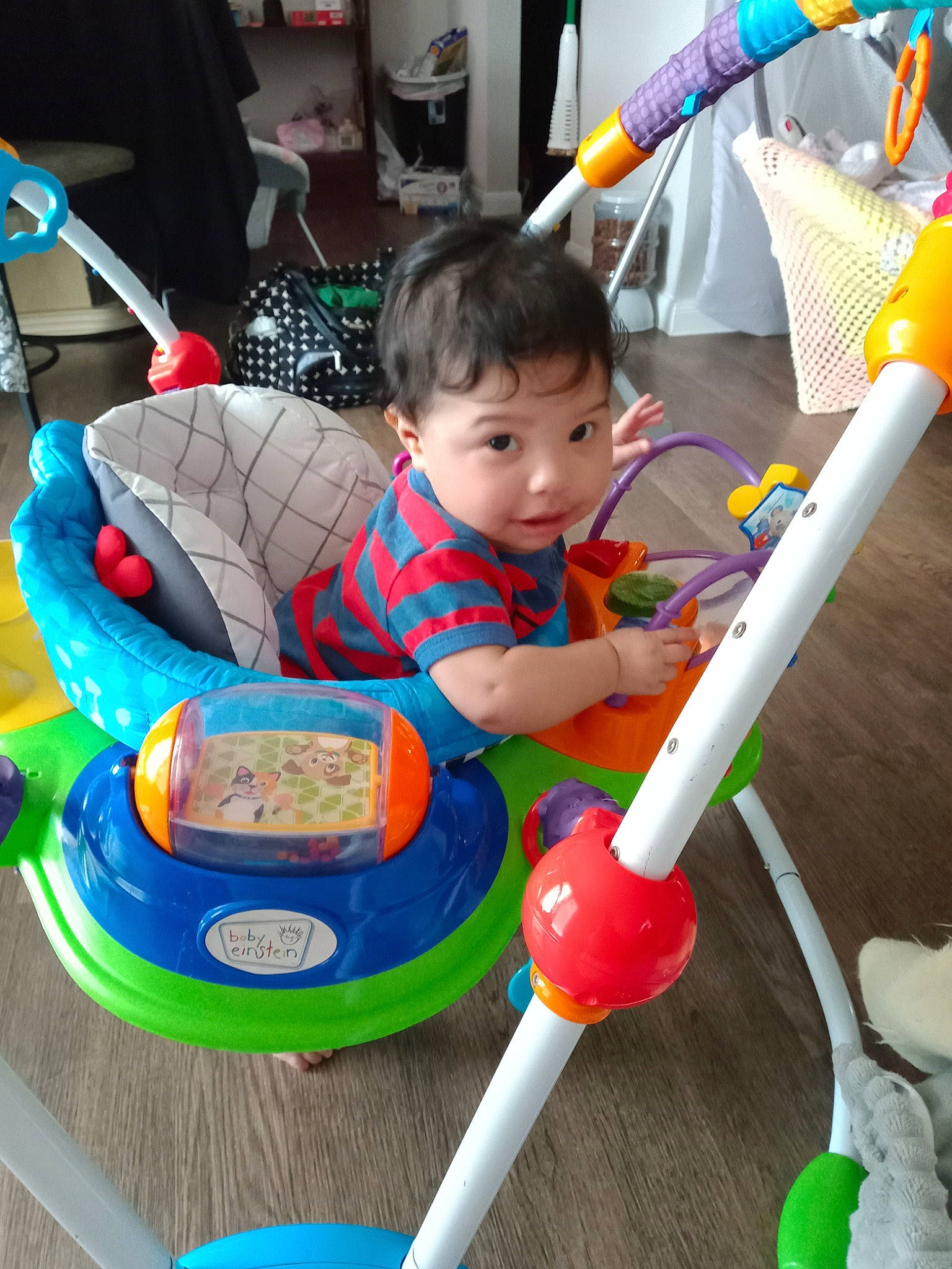 Alita joined the competition — help win amazing prizes! baby, baby_playing_with_toys, baby_products, baby_toddler_clothing, baby_toys, chair, child, electric_blue, fun, leisure, musical_instrument, person, plastic, play, product, recreation, riding_toy, sitting, toddler, toy