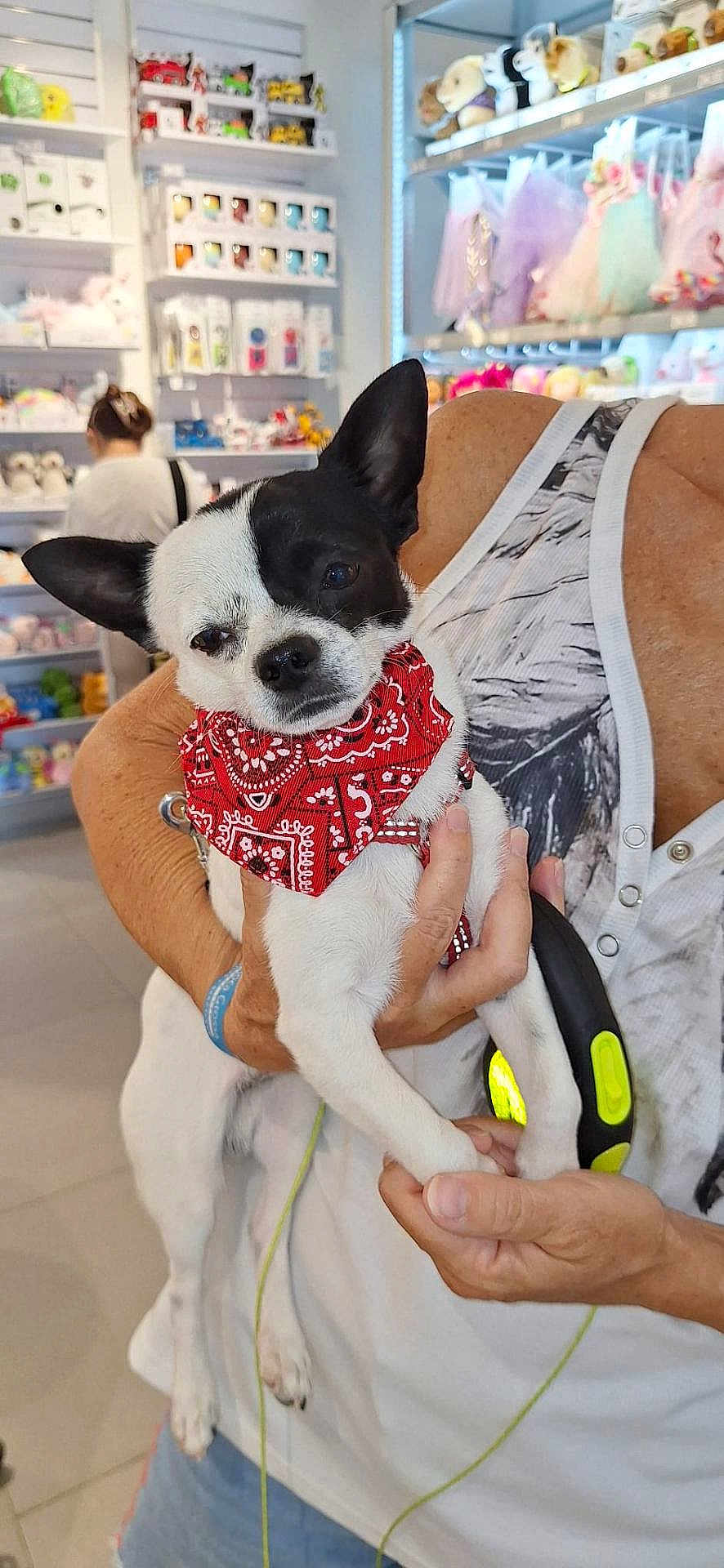 Voyou participe au concours pour gagner de l'argent avec cette photo : dog, pet, bandana, black_and_white, person, hand, store, sleeveless_shirt, shelf, plush_toys, indoor, leash, casual, holding, calm, small_dog, retail, colorful, accessories, background