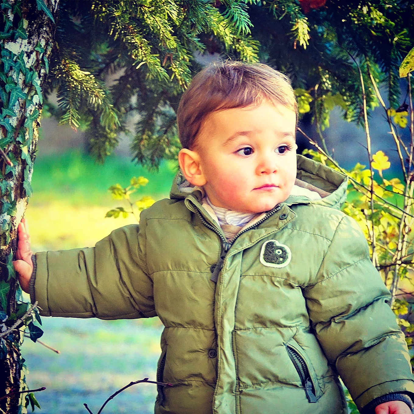 Liam
