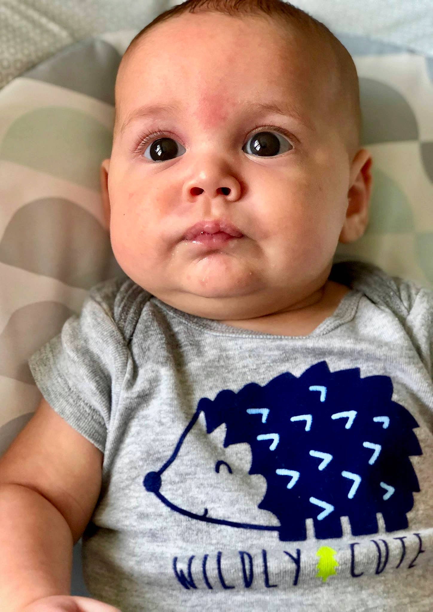 Frank is registered to the contest to win money with this photo: boy, cheek, child, eye, face, head, infant, lip, mouth, nose, person, product, skin, smile, toddler