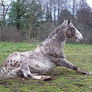 Omer participe au concours pour gagner de l'argent avec cette photo :