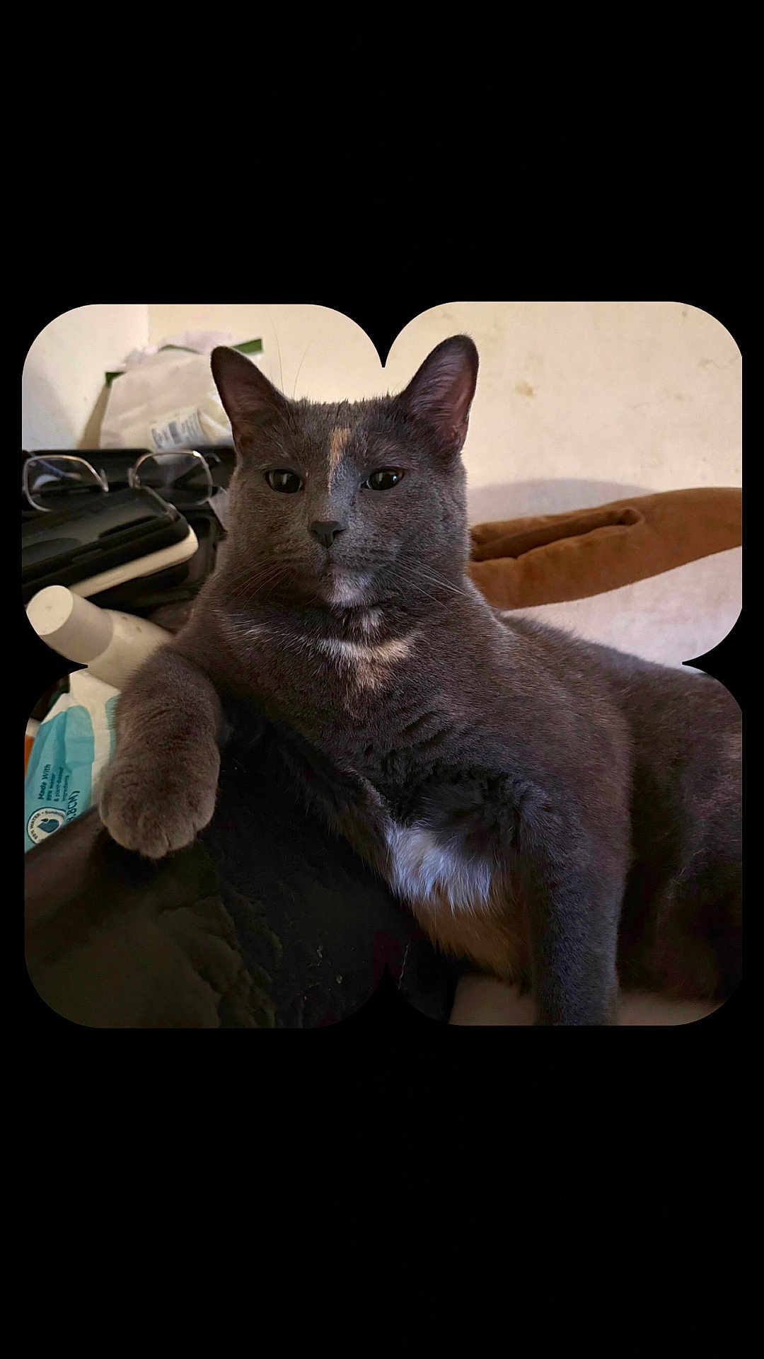 Stormie