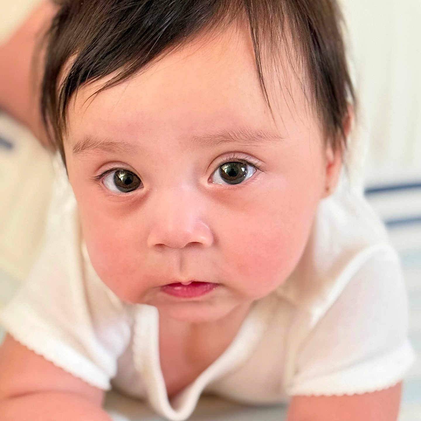 Ayleth Corral joined the competition — help win amazing prizes! arm, baby, bracelet, child, closeup, curious, cute, eyes, face, hair, indoor, infant, lying_down, person, portrait, rosy_cheeks, skin, soft_light, white_clothing, young