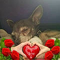 Hope S.